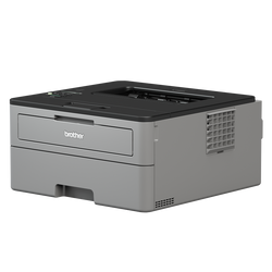 Brother HL-L2350DW Mono Laser Printer